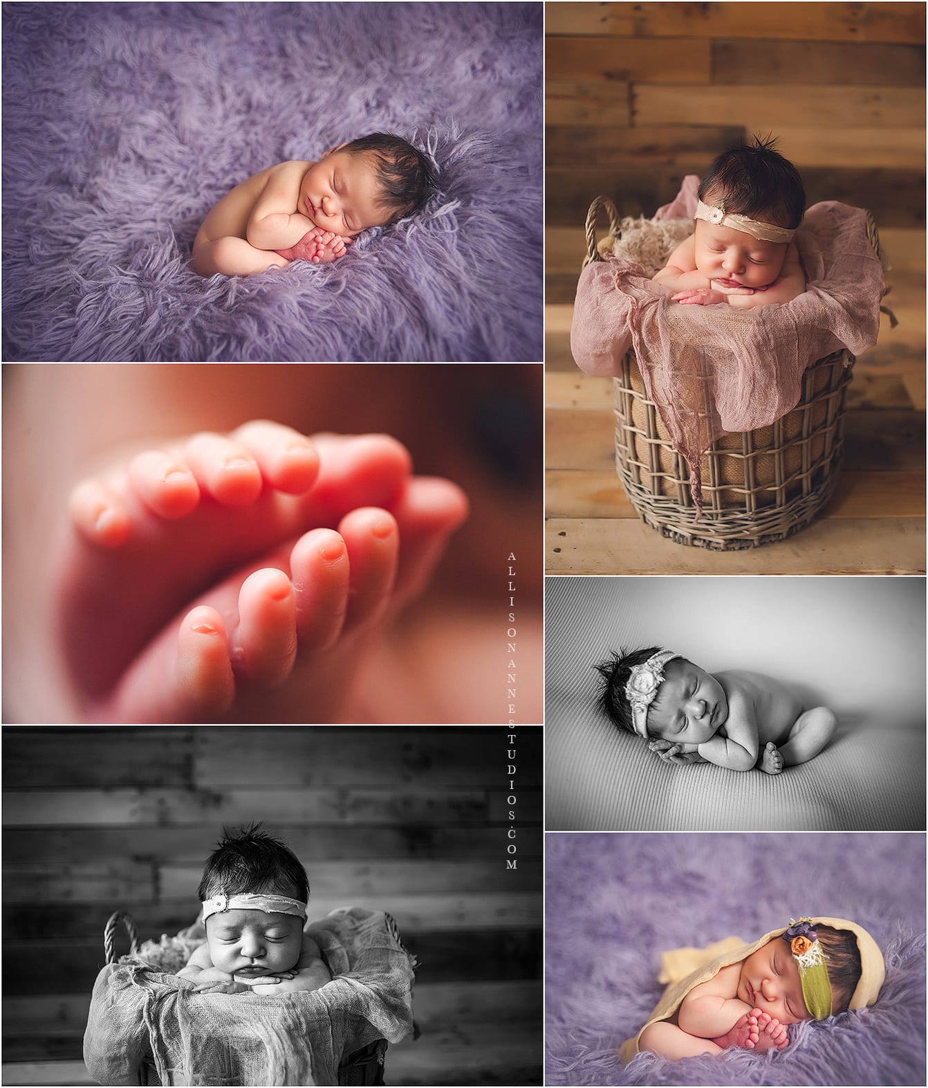 Purple, Madelyn,  AllisonAnne Studios, Gift Certificate, sleepy, Hammonton, Newborn Photographer, South Jersey, Best newborn photographer, Allison Gallagher