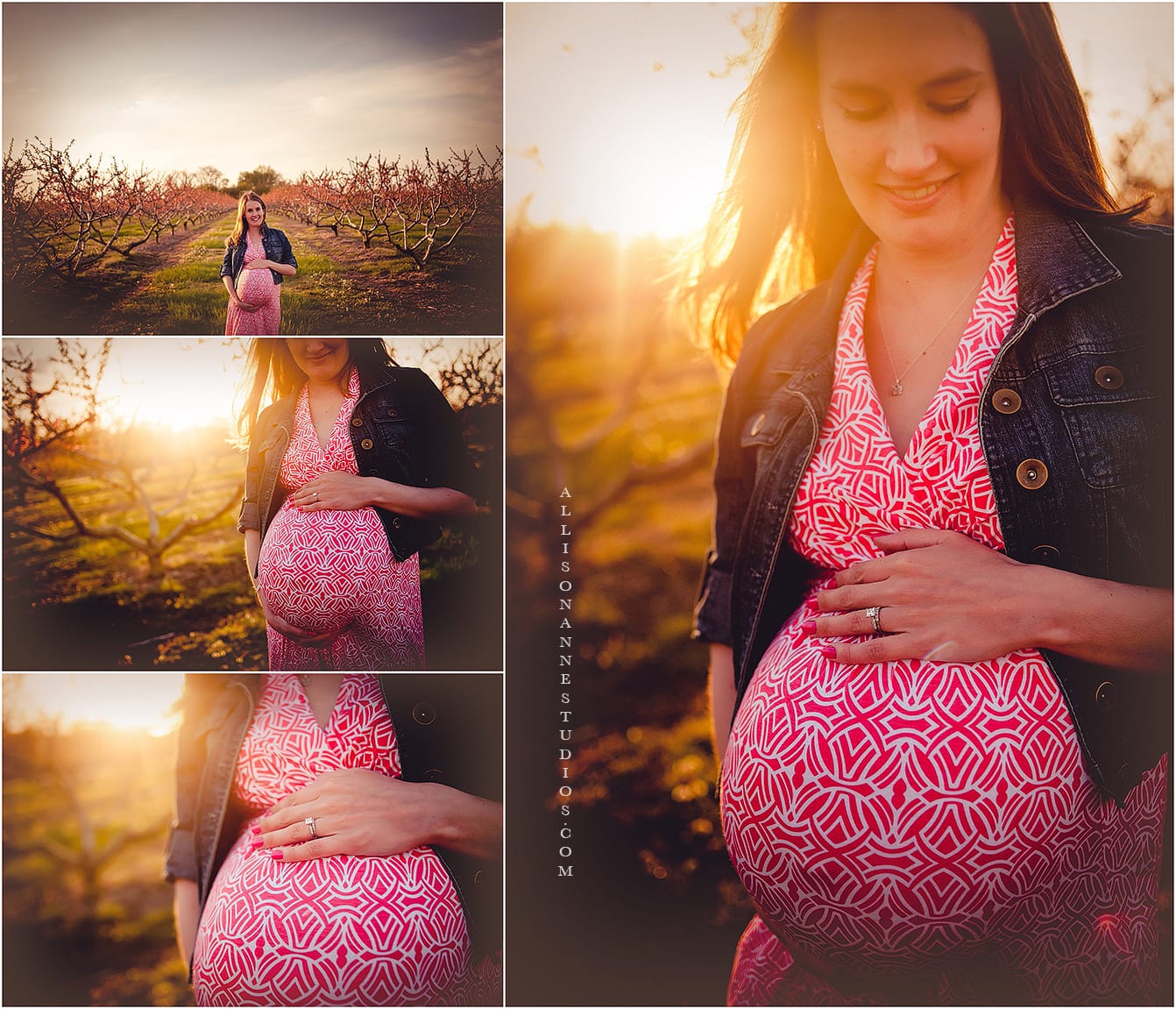 Maternity Session, orchard, Hammonton, South Jersey Photographer, Best maternity Photographer, AllisonAnne Studios, Collingswood, Clarks Landing Yacht Club