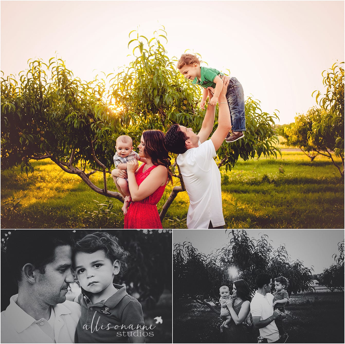 Burberry, peach orchards, AllisonAnne Studios, First Year Journey Package, returning customers, brothers, family, love, Hammonton, best family photographer