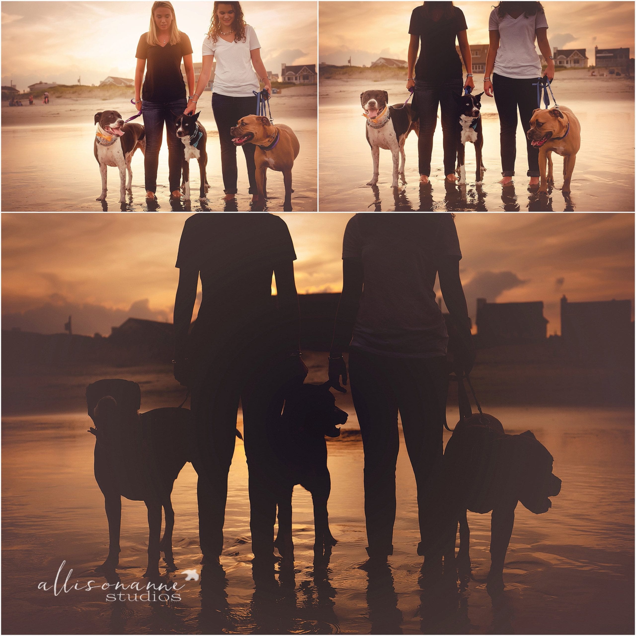 rescue dogs, 58th St. Beach, daughters, sisters, loyalty, AllisonAnne Studios, Hammonton, sunset, Allison Gallagher, Best Photographer, South Jersey, woof