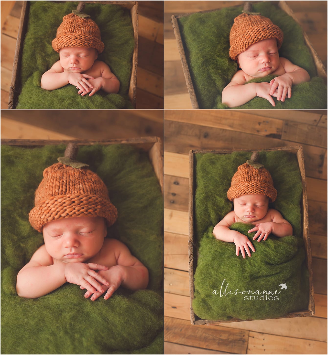 peaceful, pumpkin hat, twin sisters, nikon, AllisonAnne Studios, best Newborn Photographer SJ, Hammonton, Oh So Fleeting, studio sessions, Allison Gallagher