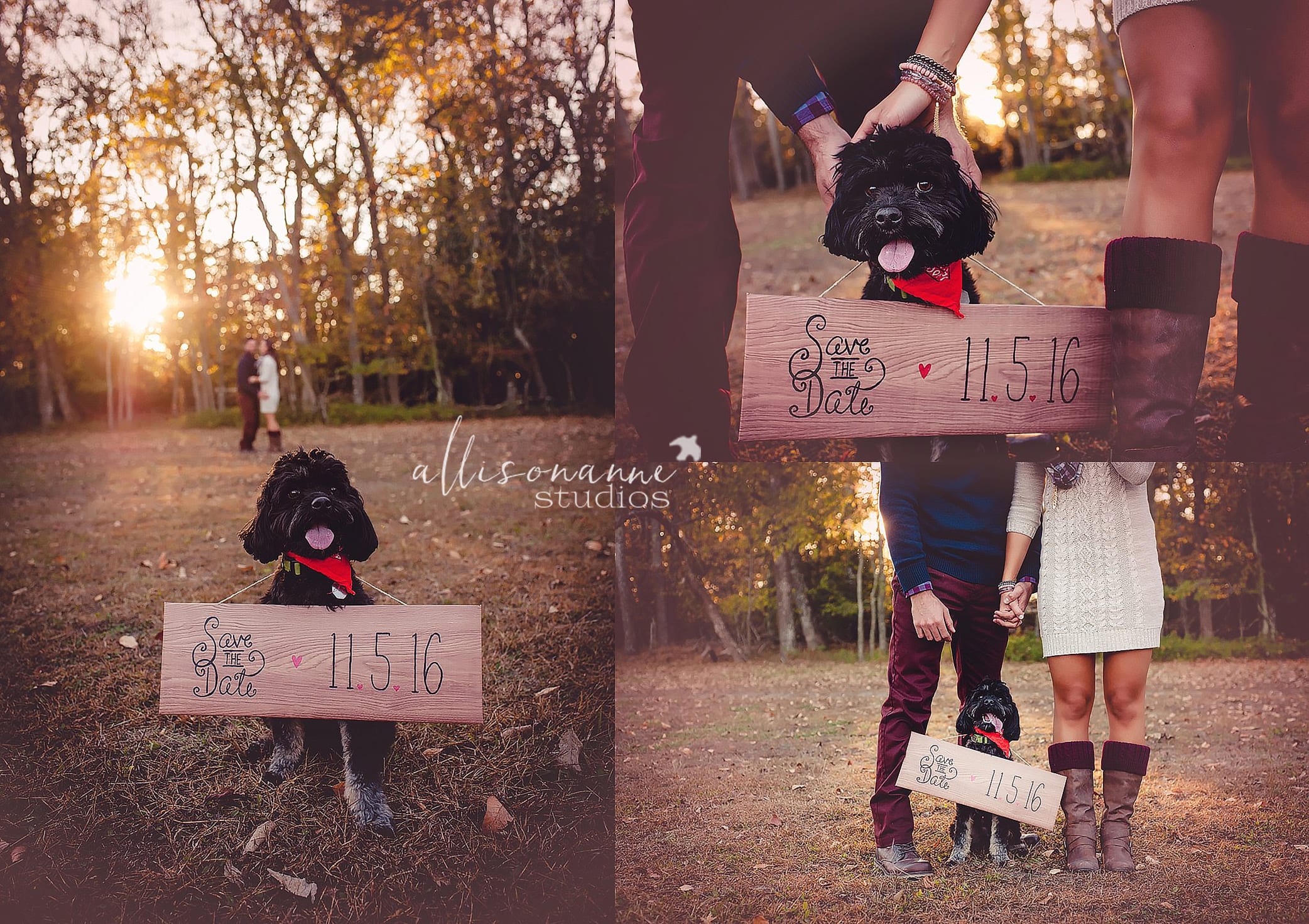 save the date, cockapoo, Rocky the dog, fall wedding, engagement session, Batsto, Eastlyn Golf Course, Greenview Inn, Hammonton, AllisonAnne Studios, Best Photographer in South Jersey