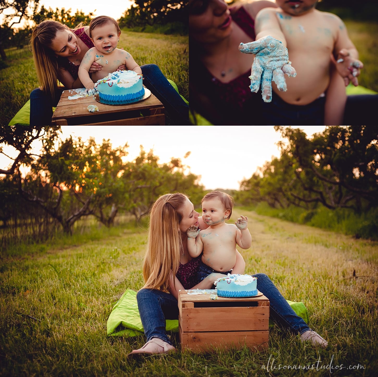 FYJ, Zach, Pastore Orchards, First Year Journey, Don't be a Stranger, AllisonAnne Studios, Hammonton, Allison Gallagher, Best Photographer in South Jersey, sunset, cake smash, blue icing, love