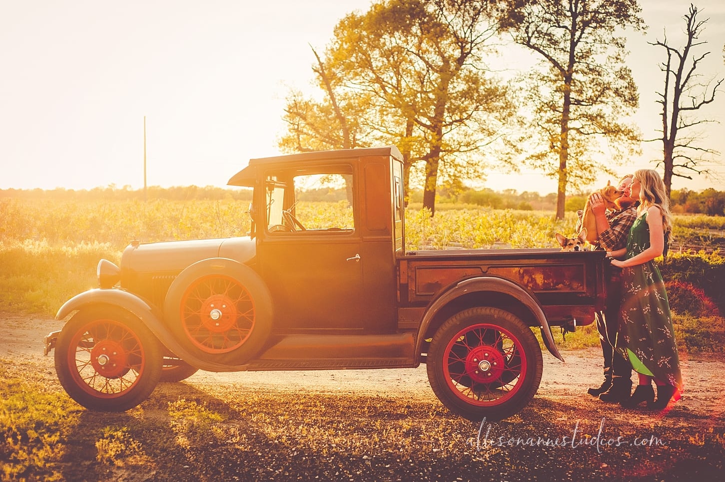 model A, Ford model A, antique trucks, antique cars, south jersey engagements, francescas dresses, promenade marlton NJ, red tires, blueberry farms, bluebird farms, hammonton blueberries, love and antique trucks, sunset engagements, best photographer south jersey